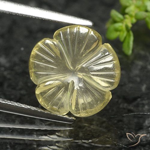 4.12ct طبيعي أصفر متوسط كوارتز, قص وردة, شفاف