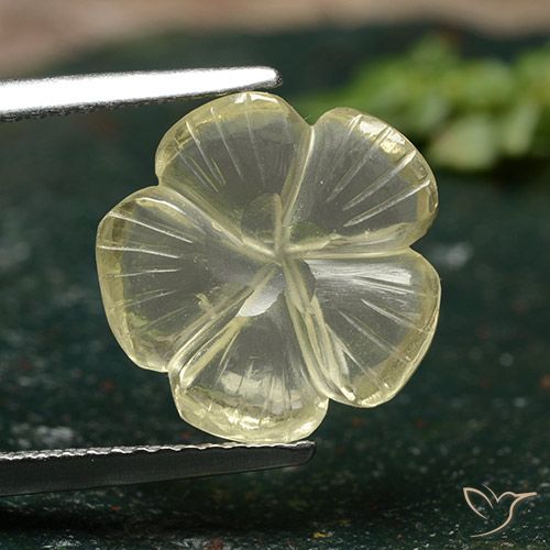 3.59ct طبيعي أصفر متوسط كوارتز, قص وردة, شفاف