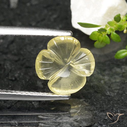 2.56ct طبيعي أصفر مخضر كوارتز, قص وردة, شفاف