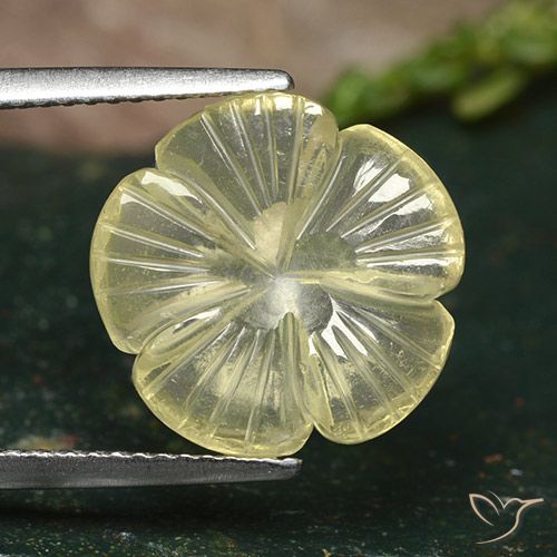 5.17ct طبيعي أصفر متوسط كوارتز, قص وردة, شفاف