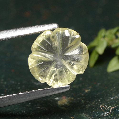 1.55ct طبيعي أصفر متوسط كوارتز, قص وردة, شفاف