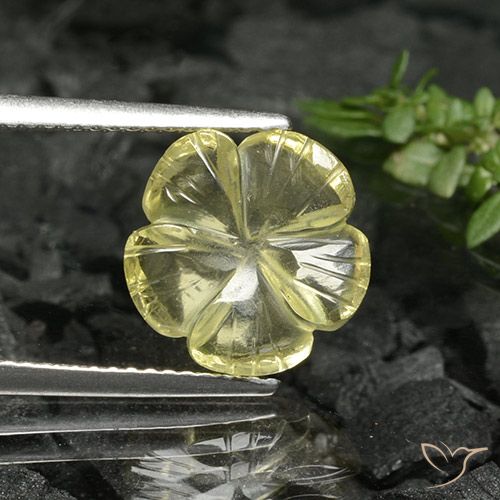 3.38ct طبيعي أصفر متوسط كوارتز, قص وردة, شفاف