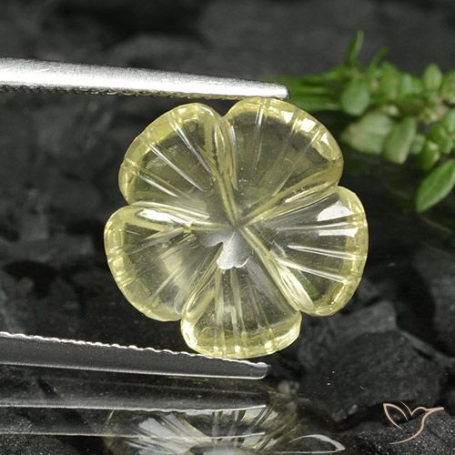 4.17ct طبيعي أصفر متوسط كوارتز, قص وردة, شفاف