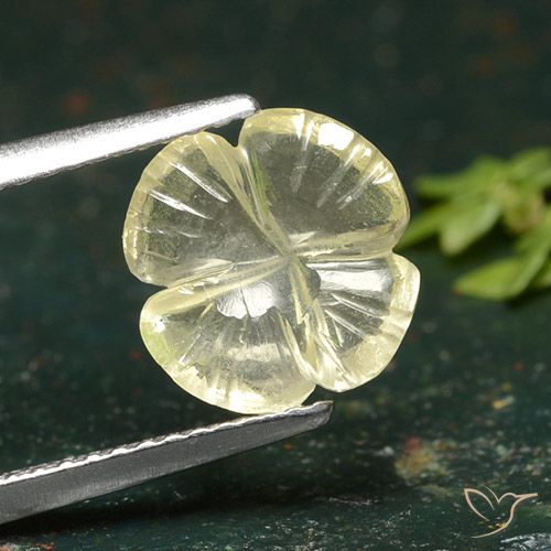 1.76ct طبيعي أصفر كريمى باهت كوارتز, قص وردة, شفاف