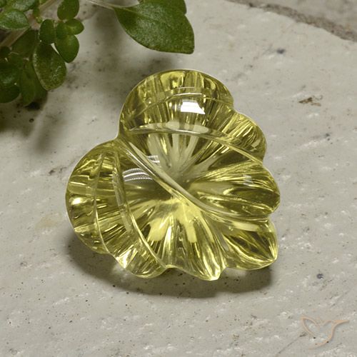 12.42ct طبيعي أصفر متوسط كوارتز, قص وردة, شفاف