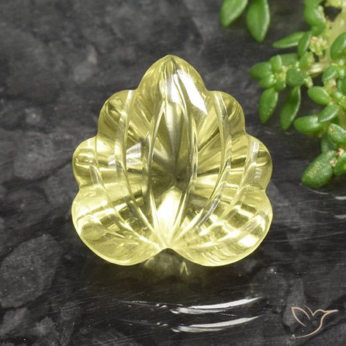 9.79ct طبيعي أصفر متوسط كوارتز, قص وردة, شفاف