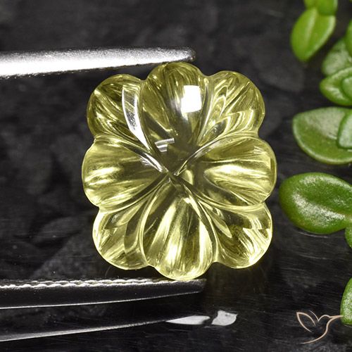 7.25ct طبيعي أصفر الذرة فاتح كوارتز, قص وردة, شفاف
