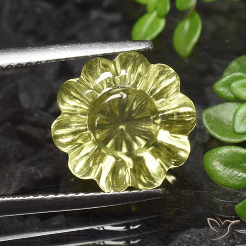 7.20ct طبيعي أصفر متوسط كوارتز, قص وردة, شفاف