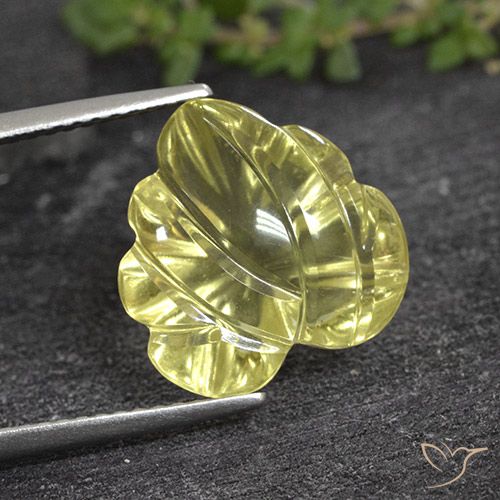 6.61ct طبيعي أصفر متوسط كوارتز, قص وردة, شفاف