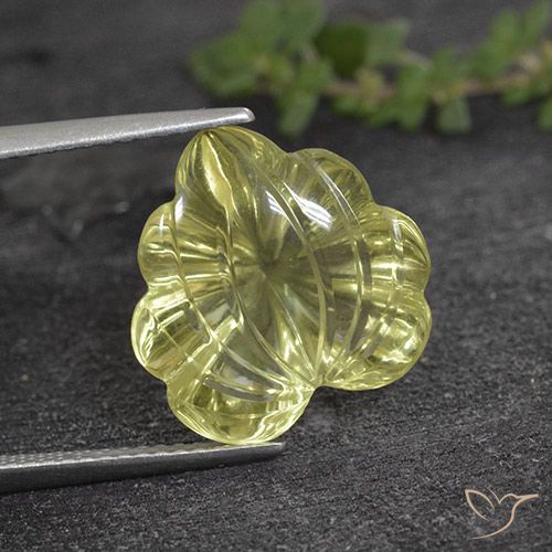 7.99ct طبيعي أصفر أناناسى فاتح كوارتز, قص وردة, شفاف