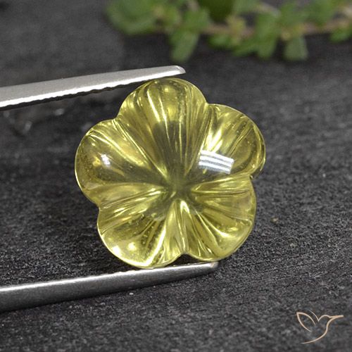 8.05ct طبيعي أصفر متوسط كوارتز, قص وردة, شفاف