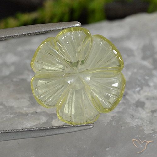 5.62ct طبيعي أصفر أناناسى فاتح كوارتز, قص وردة, شفاف