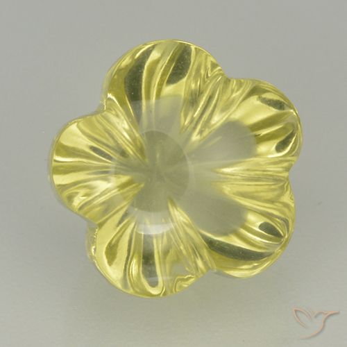 5.05ct طبيعي أصفر متوسط كوارتز, قص وردة, شفاف