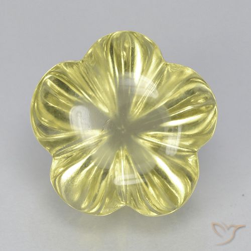 6.56ct طبيعي أصفر فاتح كوارتز, قص وردة, شفاف
