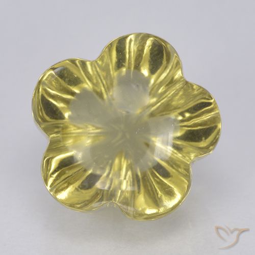 4.47ct طبيعي أصفر فاتح-متوسط كوارتز, قص وردة, شفاف
