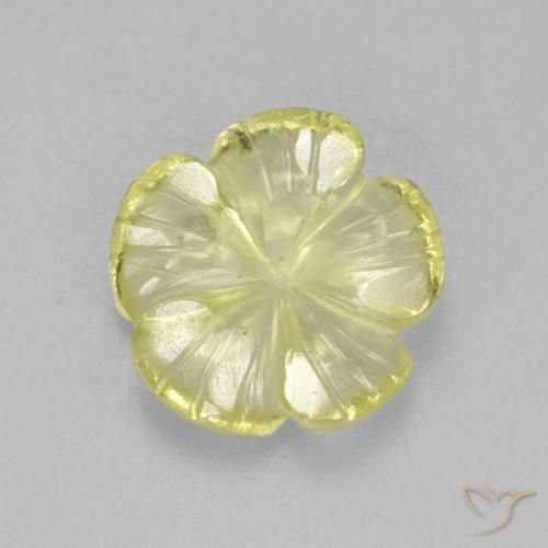 2.62ct طبيعي أصفر أناناسى فاتح كوارتز, قص وردة, شفاف
