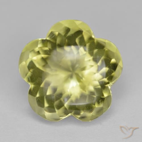 11.33ct طبيعي أصفر متوسط كوارتز, قص وردة, شفاف