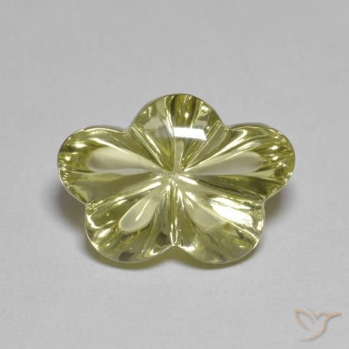 6.22ct طبيعي أصفر متوسط كوارتز, قص وردة, شفاف