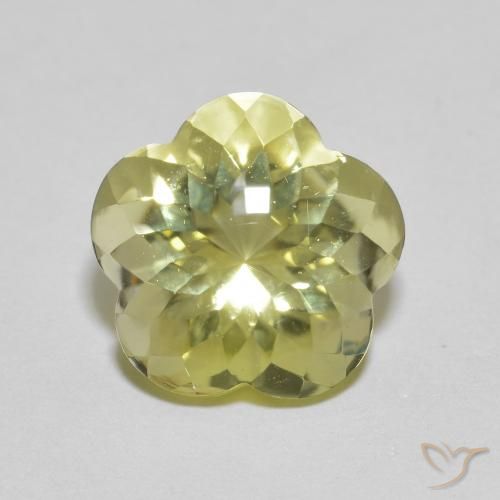 5.10ct طبيعي أصفر لاجونا كوارتز, قص وردة, شفاف