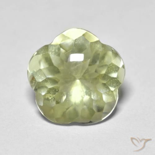 4.58ct طبيعي أصفر فاتح كوارتز, قص وردة, شفاف