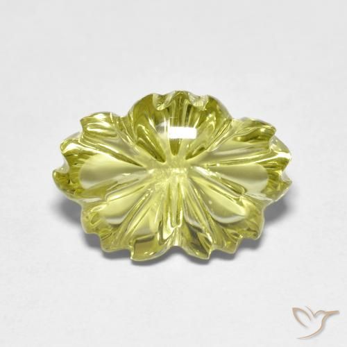 6.44ct طبيعي أصفر متوسط كوارتز, قص وردة, شفاف