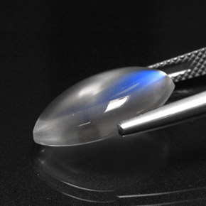 قوس قزح حجر القمر أبيض أزرق طبيعي، شفاف، 6.99 قيراط، شفاف / نصف شفاف