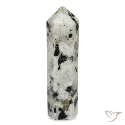 47.54ct طبيعي أبيض مع أسود قوس قزح حجر القمر, فانسى, غير شفاف