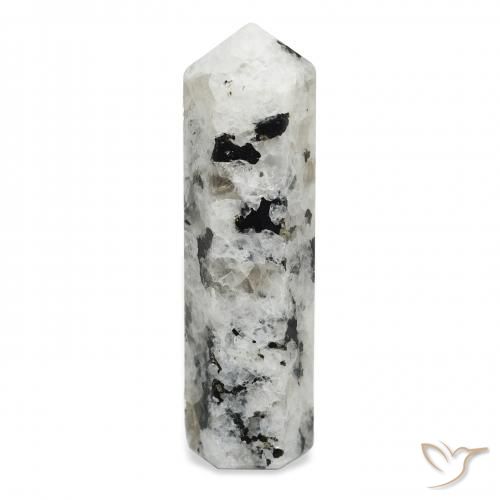 46.59ct طبيعي أبيض مع أسود قوس قزح حجر القمر, فانسى, غير شفاف