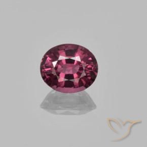 1.37ct طبيعي أرجوانى غامق عقيق رودوليت, بيضوي, قليلا جدا