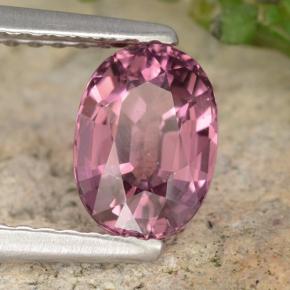 عقيق رودوليت التوت عليق أحمر طبيعي، قصة بيضاوى، 1.42 قيراط، VVS-VS