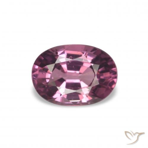 عقيق رودوليت أرجوانى برقوقى طبيعي، قصة بيضاوى، 1.16 قيراط، VS-SI