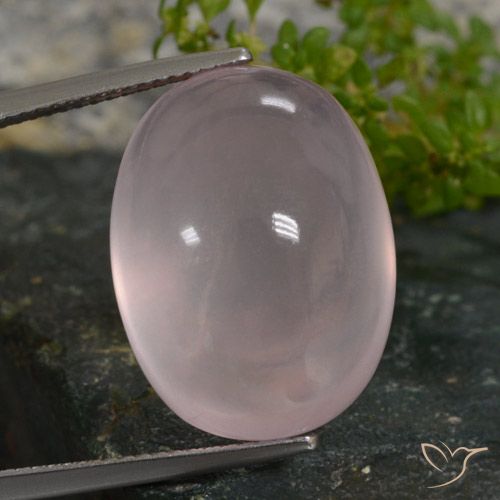 27.49ct طبيعي وردى زهرى فاتح كوارتز زهرى, بيضوي, نصف شفاف