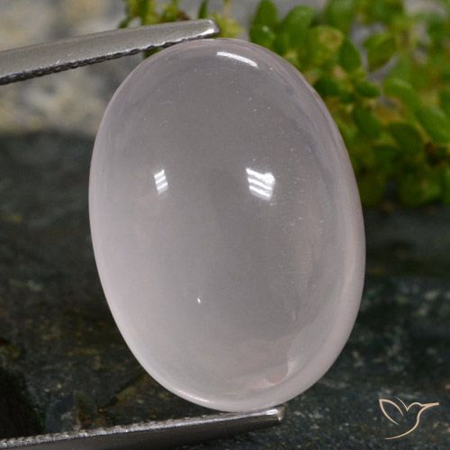 16.02ct طبيعي وردى فاتح جدا كوارتز زهرى, بيضوي, نصف شفاف