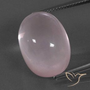 19.58ct طبيعي وردى مرجانى كوارتز زهرى, بيضوي, شفاف