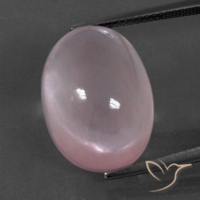 18.91ct طبيعي وردى مرجانى كوارتز زهرى, بيضوي, شفاف