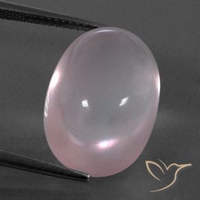 18.64ct طبيعي وردى مرجانى كوارتز زهرى, بيضوي, شفاف