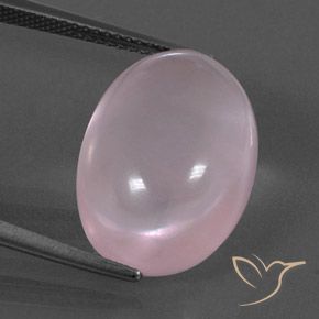 15.59ct طبيعي وردى متوسط كوارتز زهرى, بيضوي, شفاف