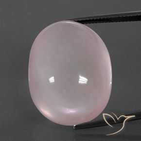 49.00ct طبيعي وردى مرجانى كوارتز زهرى, بيضوي, شفاف
