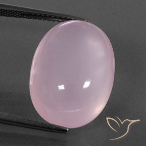 17.58ct طبيعي وردى العلكة كوارتز زهرى, بيضوي, شفاف / نصف شفاف