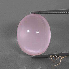 18.44ct طبيعي وردى متوسط كوارتز زهرى, بيضوي, شفاف