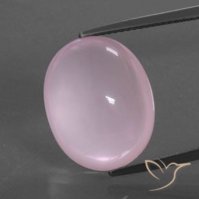 15.78ct طبيعي وردى العلكة كوارتز زهرى, بيضوي, شفاف