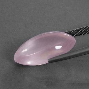 كوارتز زهرى وردى متوسط طبيعي، ماركيز، 18.96 قيراط، شفاف