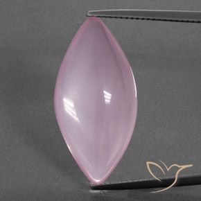 16.11ct طبيعي وردى زهرى كوارتز زهرى, ماركيز, شفاف