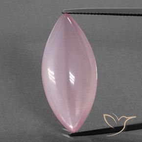 21.90ct طبيعي وردى زهرى متوسط كوارتز زهرى, ماركيز, شفاف