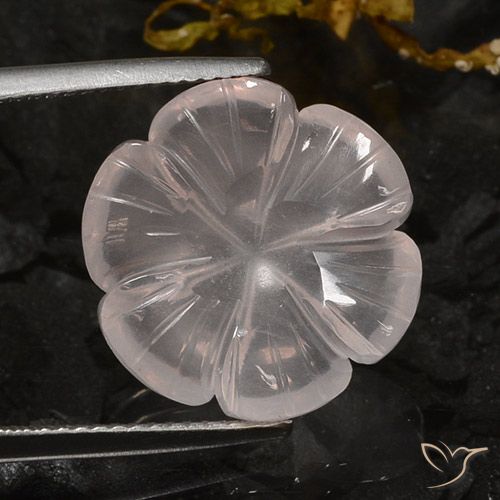 10.56ct طبيعي وردى فلامنجو كوارتز زهرى, قص وردة, شفاف