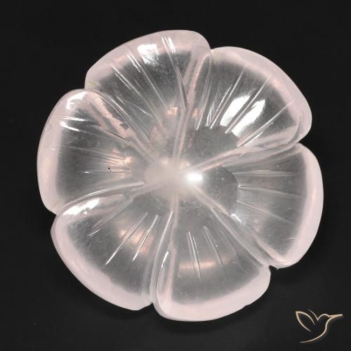 15.54ct طبيعي وردى فلامنجو كوارتز زهرى, قص وردة, شفاف