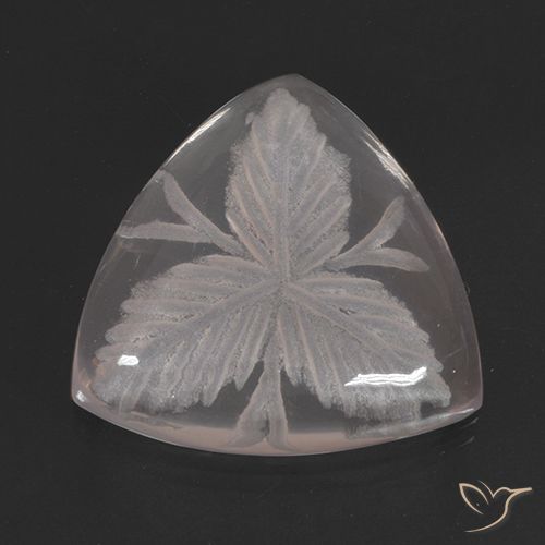10.38ct طبيعي عديم اللون كوارتز زهرى, مثلثى, شفاف