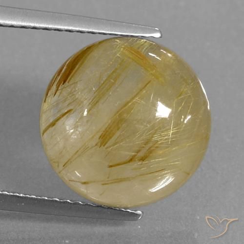 9.04ct طبيعي أصفر ديجون كوارتز روتيل, دائري, شفاف
