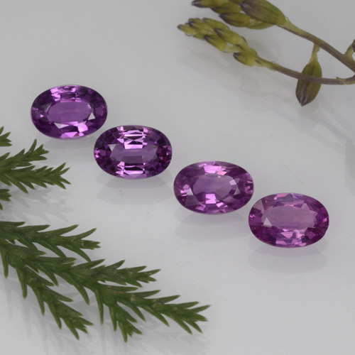 ياقوت طبيعي بلون Pinkish Grape ، وزن ‎2.23‎ قيراط، شكل بيضاوى، مقاس ‎6x4.1‎ مم