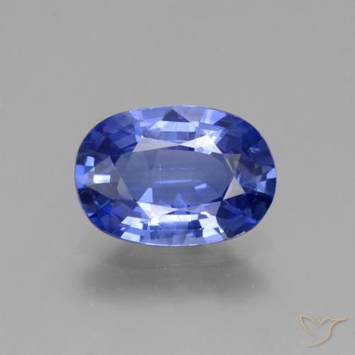 2.69ct طبيعي أزرق أرجوانى غامق زفير, بيضوي, قليلا جدا